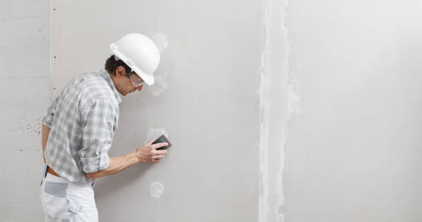 Best Asbestos and Lead Testing During Mold Inspection  in Pennington, NJ